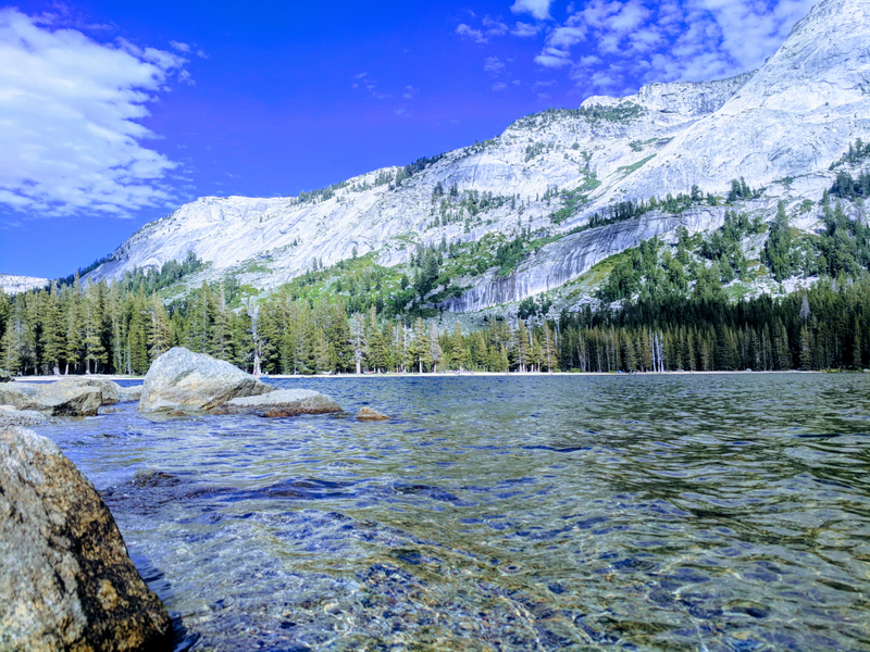 Illustration for article titled Motorcycle Road Trip: Wild Donkeys, Yosemite, and Tahoe